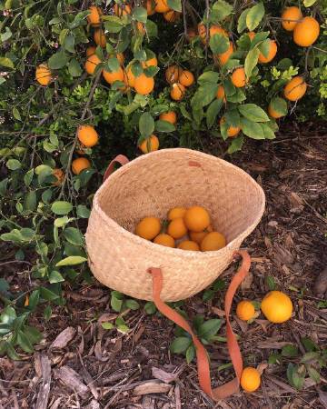 希望你的下半年没有遗憾 都是美好???