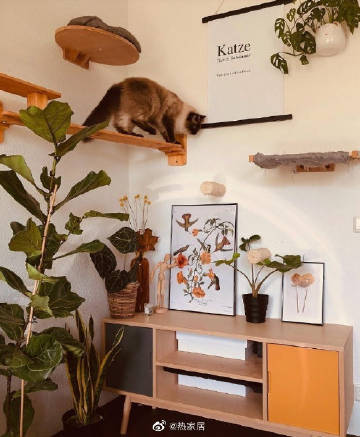 卧室灵感丨文艺少女会呼吸的卧室