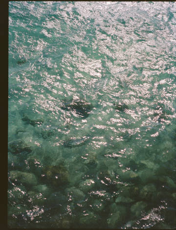 海边的夏天 | Sean Klingelhoefer