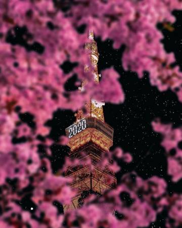 夜间樱花?ins:number_shiiix