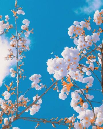 希望我不是被选择，而是被热爱。 ?