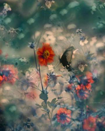 什么东西都是攒出来的：   钱是 好感是 失望也是