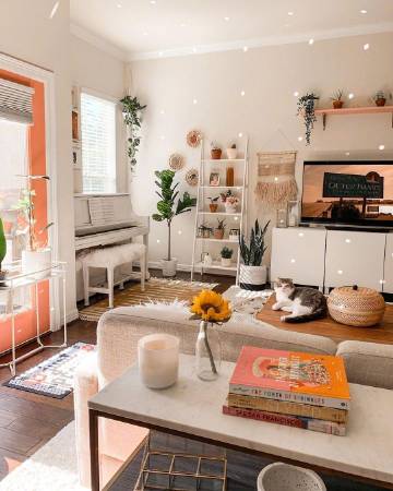 房间里的浓浓秋意