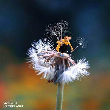 插画师Vimal Chandran笔下的治愈插画