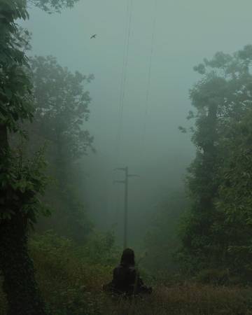 往事如梦 | Nicholas Fols