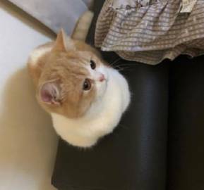 无法抵抗的可爱瞬间?