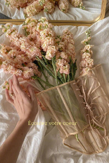 Good Morning,Have a Nice Day.???????