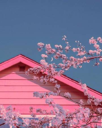 希望我不是被选择，而是被热爱。 ?