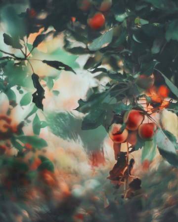 什么东西都是攒出来的：   钱是 好感是 失望也是