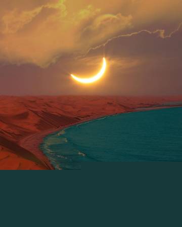 迷幻风景 | MORGAN