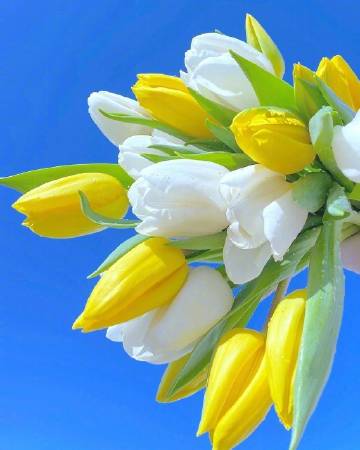 “送你一束花”