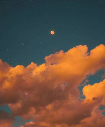 喜欢就争取 得到就珍惜 错过就忘记.✓