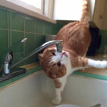 生活明朗 万物可爱