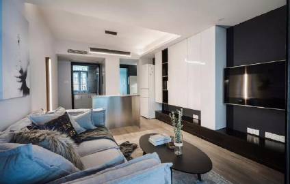 50㎡单身公寓 #家居装修#