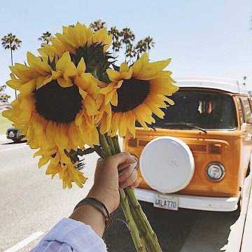 真正属于你的爱情不会叫你痛苦 爱你的人不会叫你患得患失 凡觉得辛苦的事 都是强求.