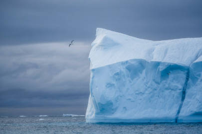 格陵兰岛的冰山 | Christian Hoiberg