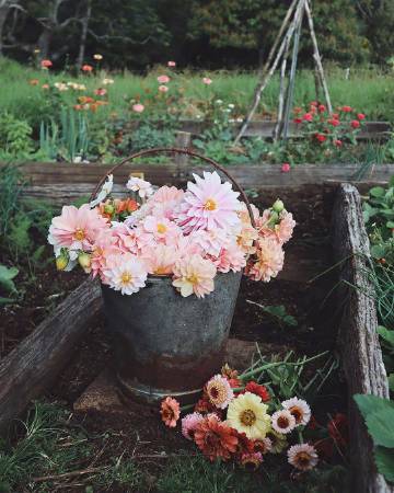 “六月初夏，所见所想都是尘世间的美好。”