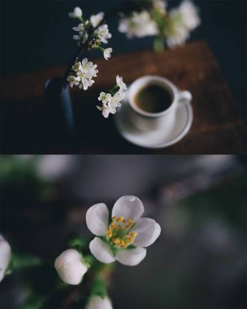 生活的仪式感 | Takashi Yasui