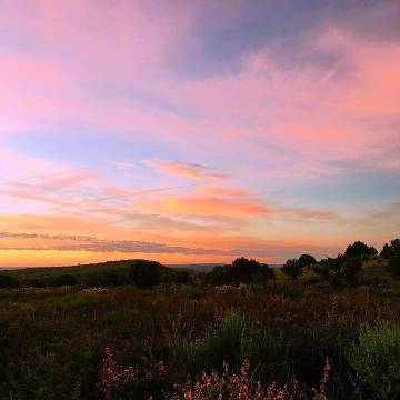 人生苦短，请停止与自己作对。——亦舒