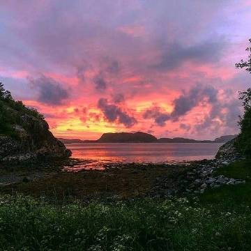 人生苦短，请停止与自己作对。——亦舒