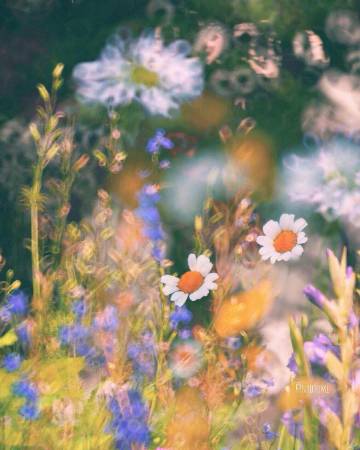 什么东西都是攒出来的：   钱是 好感是 失望也是