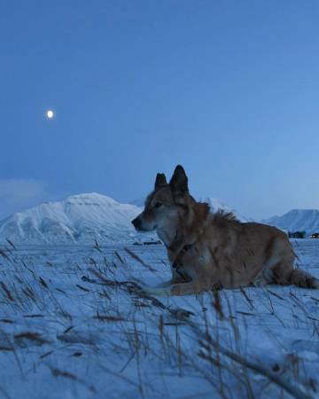 "白天有光 夜晚有星 天空有飞鸟 难得有你"