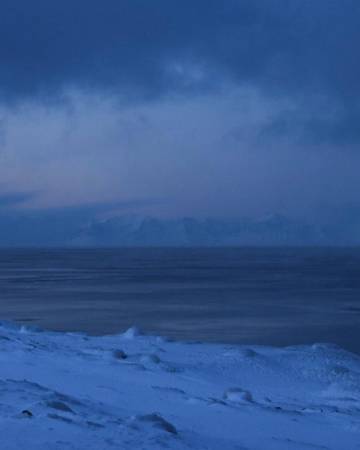 "白天有光 夜晚有星 天空有飞鸟 难得有你"