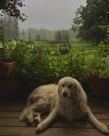 理想中的田园生活