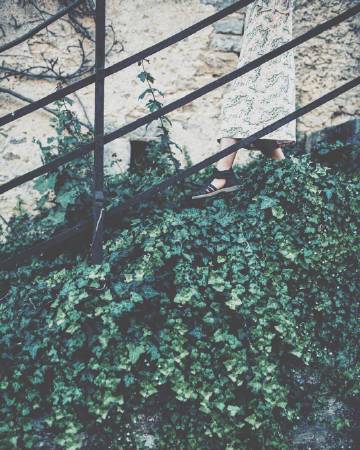 “与其终日闷闷不乐 不如积极地过好每一天”