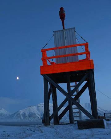 "白天有光 夜晚有星 天空有飞鸟 难得有你"