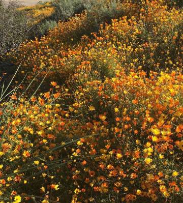 希望你的下半年没有遗憾 都是美好???