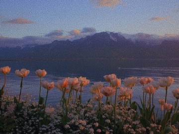 一生所求，爱与自由，你与温柔。