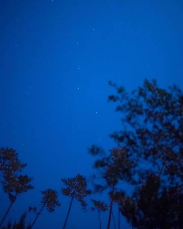 蓝色的梦 | João Marques