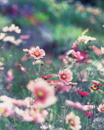 什么东西都是攒出来的：   钱是 好感是 失望也是