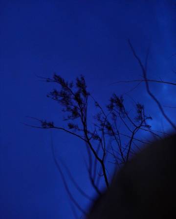 蓝色的梦 | João Marques