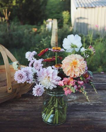 “六月初夏，所见所想都是尘世间的美好。”