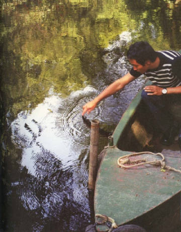 张国荣写真集 《庆》