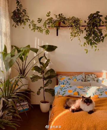 卧室灵感丨文艺少女会呼吸的卧室