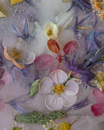 Flowers | Joe Horner