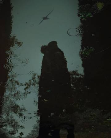 往事如梦 | Nicholas Fols