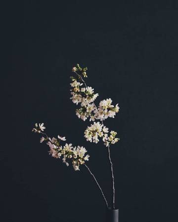 生活的仪式感 | Takashi Yasui