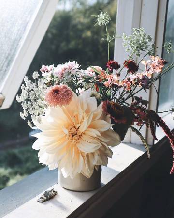 “六月初夏，所见所想都是尘世间的美好。”