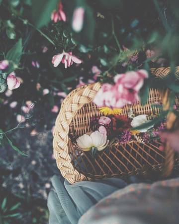 “与其终日闷闷不乐 不如积极地过好每一天”