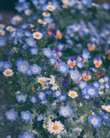 什么东西都是攒出来的：   钱是 好感是 失望也是