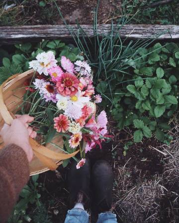 “六月初夏，所见所想都是尘世间的美好。”
