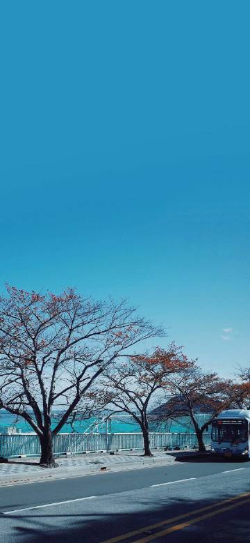 “开始考虑值不值得的时候就已经不值得了