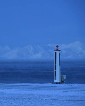 "白天有光 夜晚有星 天空有飞鸟 难得有你"