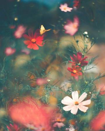 什么东西都是攒出来的：   钱是 好感是 失望也是