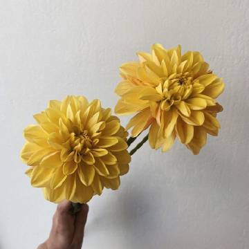 出去走走，看看不同的风景，接触不同的人和事，你会发现，你的烦恼原来是那么微不足道。