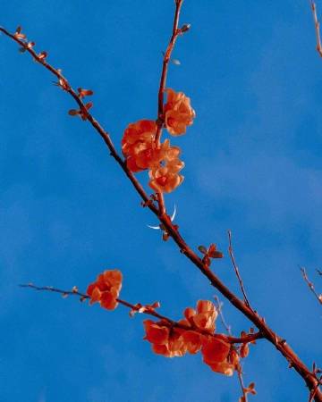 希望我不是被选择，而是被热爱。 ?